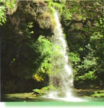 Solutions to Water Pollution