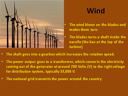 Renewable Resources: Wind