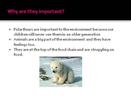 Why are they Important